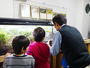 まちなかキャンパス里山生物園観察会を開催しました～米里とんぼ児童クラブの皆さんを迎えて