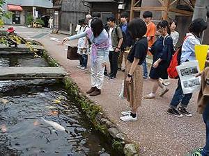 小路を挟んで小倉家の対面を流れる鉢屋川