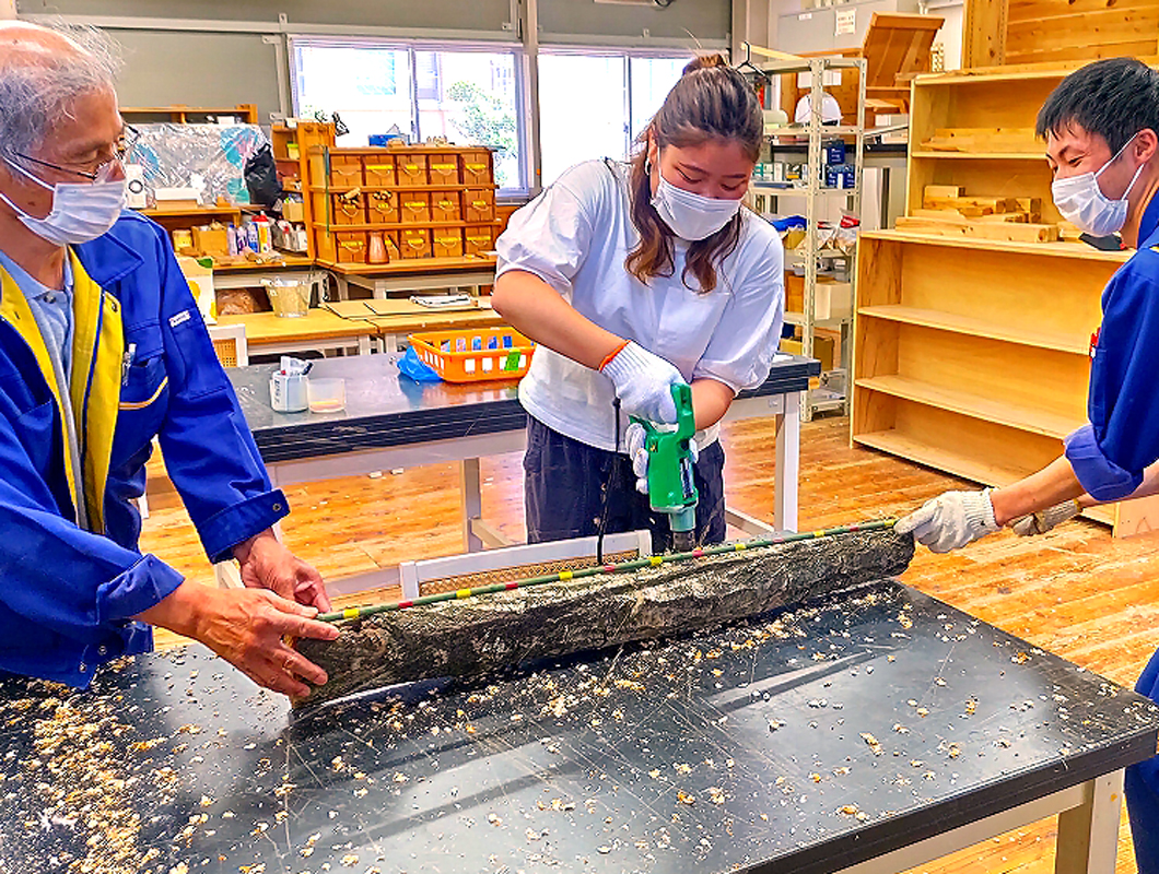 原木にドリルで穴をあける