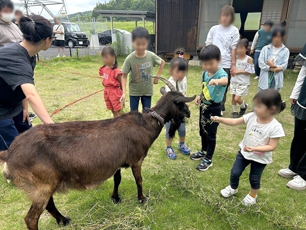 エサやり体験