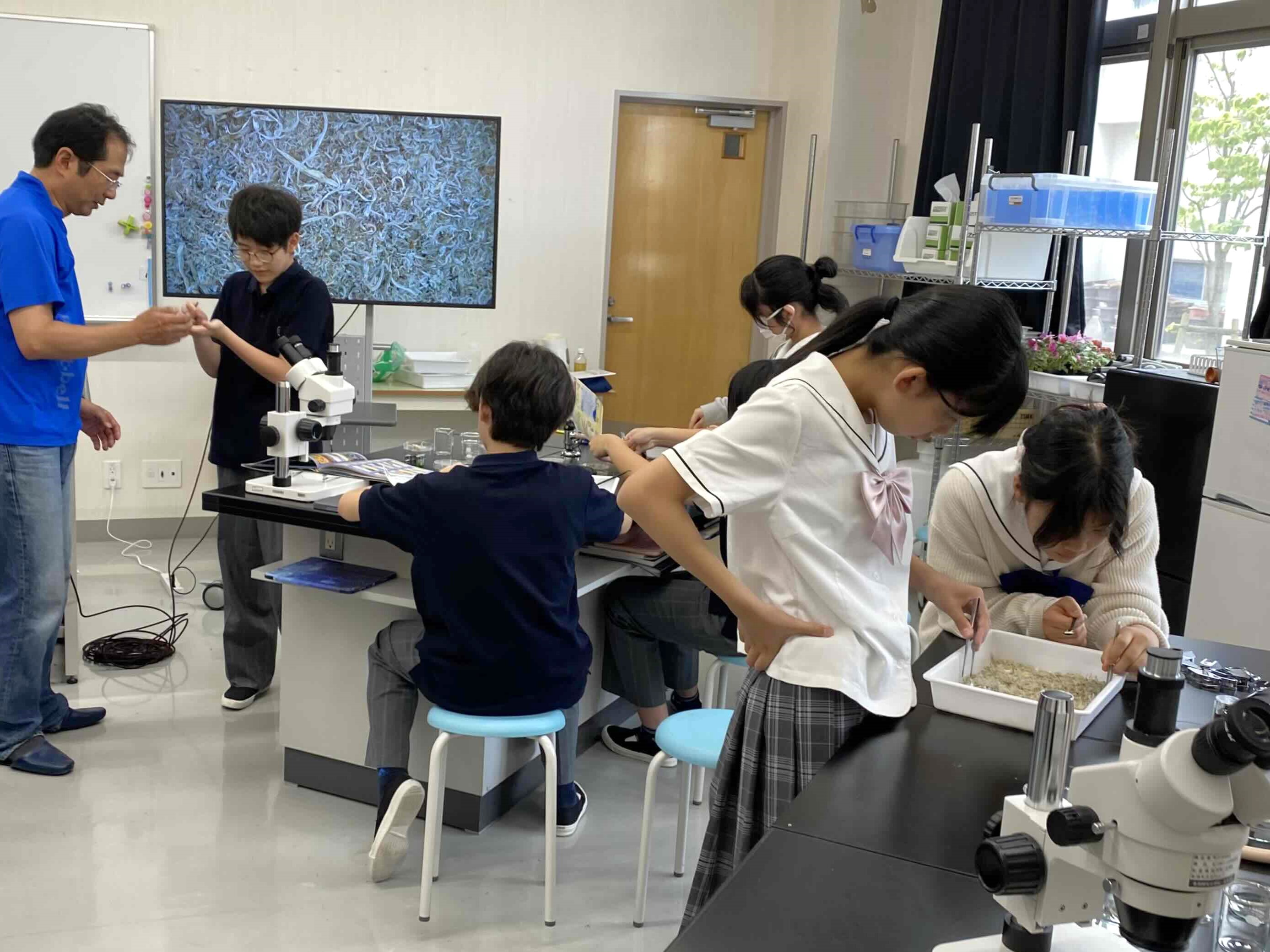 分類が困難な稚魚は見分け方を伝授しました