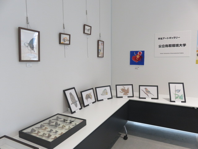 展示の様子2