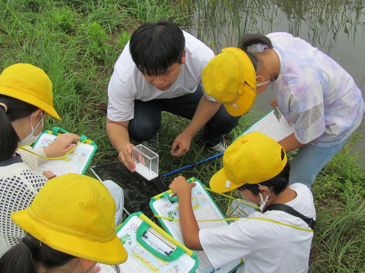 観察・採集の様子②