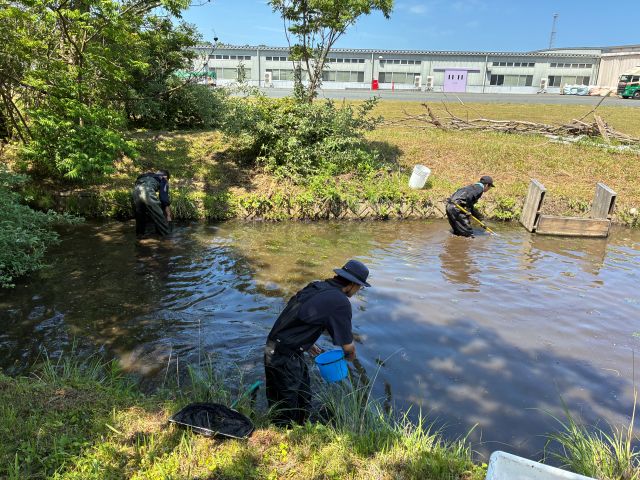 池に入り、慎重に水生昆虫を捕獲